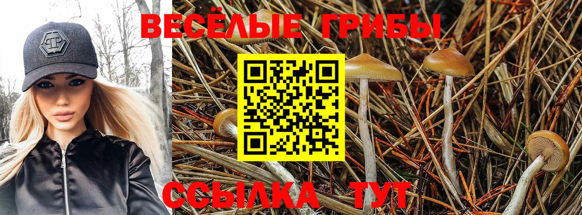 Назарово  Галлюциногенные грибы GOLDEN TEACHER  Вход с VPN 